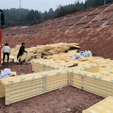 �����ܸ�ģ�峧��